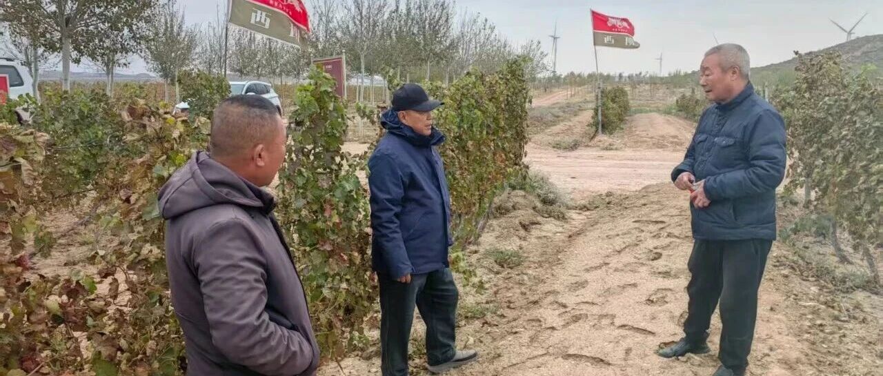 葡萄酒泰斗李华亲临西班酒庄，解码葡园“极简+无人”管理新范式